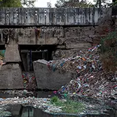 A dumpsite near the Ganges River in Patna, Bihar